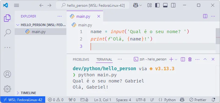Visual Studio Code aberto com o script "main" do projeto "hello_person". No terminal integrado, se executa o script.