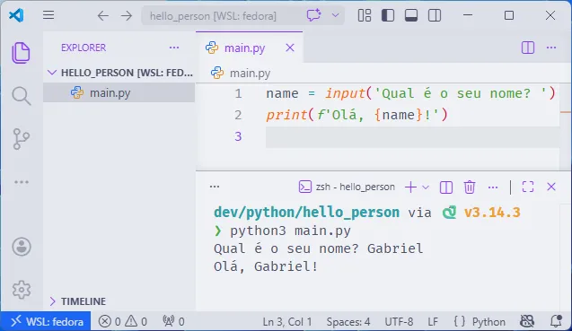 Visual Studio Code aberto com o script "main" do projeto "hello_person". No terminal integrado, se executa o script.
