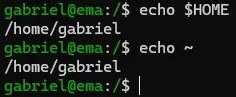 Terminal do Fedora, em que se executam os comando que exibem o conteúdo das variáveis "HOME" e "~".