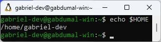 Terminal do Fedora, em que se executa o comando "echo $HOME". A resposta é "/home/gabriel-dev".