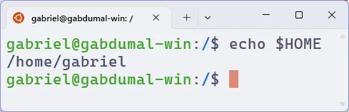 Terminal do Ubuntu, em que se executa o comando "echo $HOME". A resposta é "/home/gabriel".