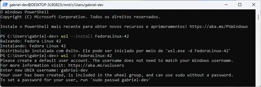 Terminal do Powershell, em que são exibidas a mensagens da instalação, inclusive os prompts para criação de usuário.