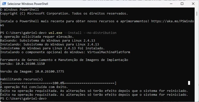 Terminal do PowerShell, em que se executa o comando de instalação do WSL, inicialmente sem instalar alguma distribuição.