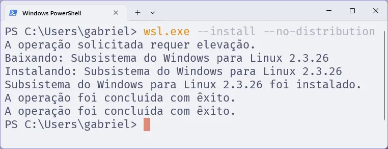 Terminal do PowerShell, em que se executa o comando supracitado.