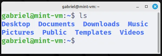 Terminal do GNOME com o tema Catppuccin Latte aplicado.