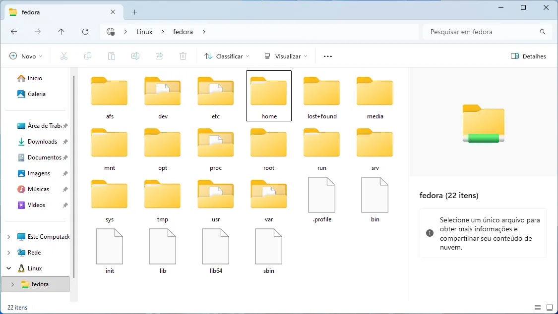 Explorador de Arquivos do Windows aberto na pasta "Linux\fedora".
