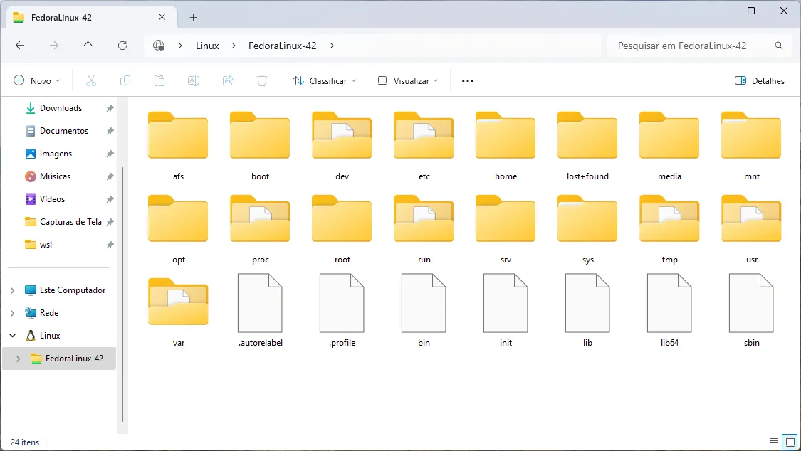 Explorador de Arquivos do Windows aberto na pasta "Linux\FedoraLinux-42".