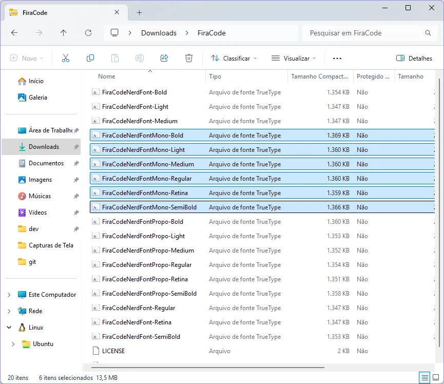 Explorador de arquivos do Windows aberto na pasta de downloads da fonte, com os arquivos iniciados em "FiraCodeNerdFontMono" selecionados.