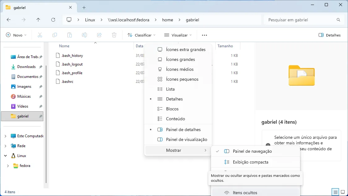 Passos instruindo como exibir arquivos ocultos no explorador de Arquivos do Windows.