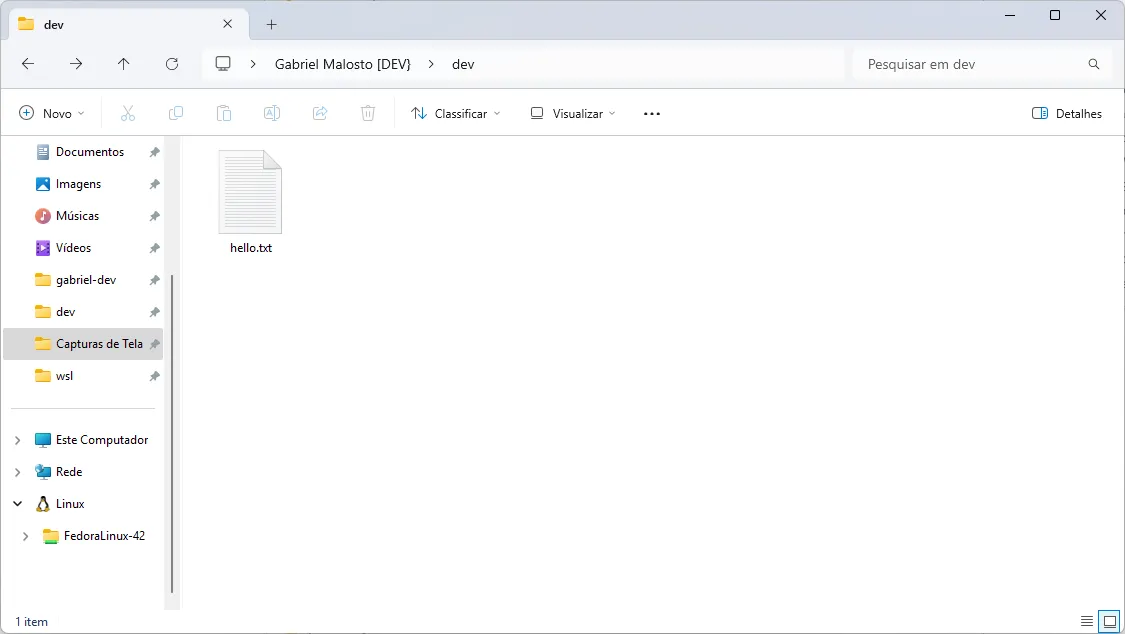 Explorador de Arquivos do Windows aberto na pasta "dev" do Fedora.