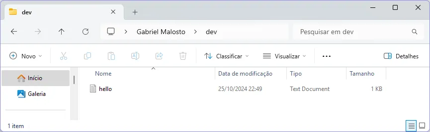 Explorador de Arquivos do Windows aberto na pasta "dev" do Ubuntu.