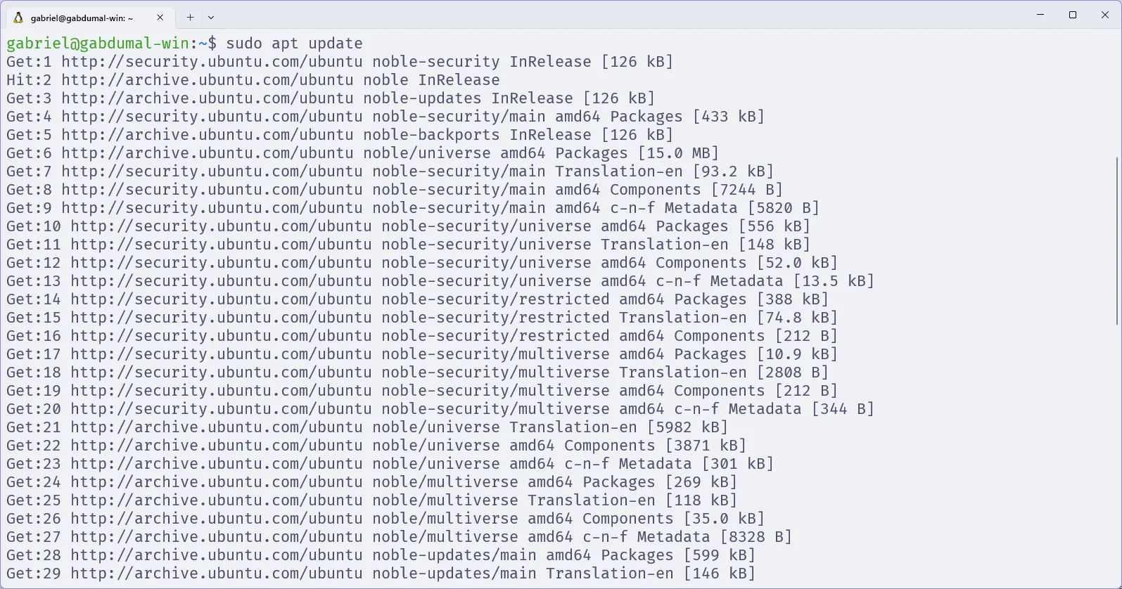 Terminal do Ubuntu, em que se executa o comando "sudo apt update".