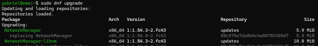 Terminal do Fedora, primeira captura da execução do comando "sudo dnf upgrade".