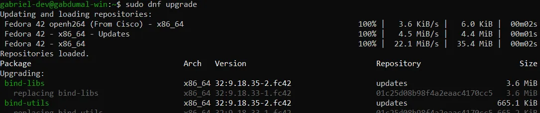 Terminal do Fedora, primeira captura da execução do comando "sudo dnf upgrade".