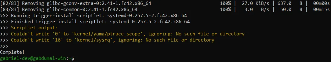 Terminal do Fedora, quarta captura da execução do comando "sudo dnf upgrade".