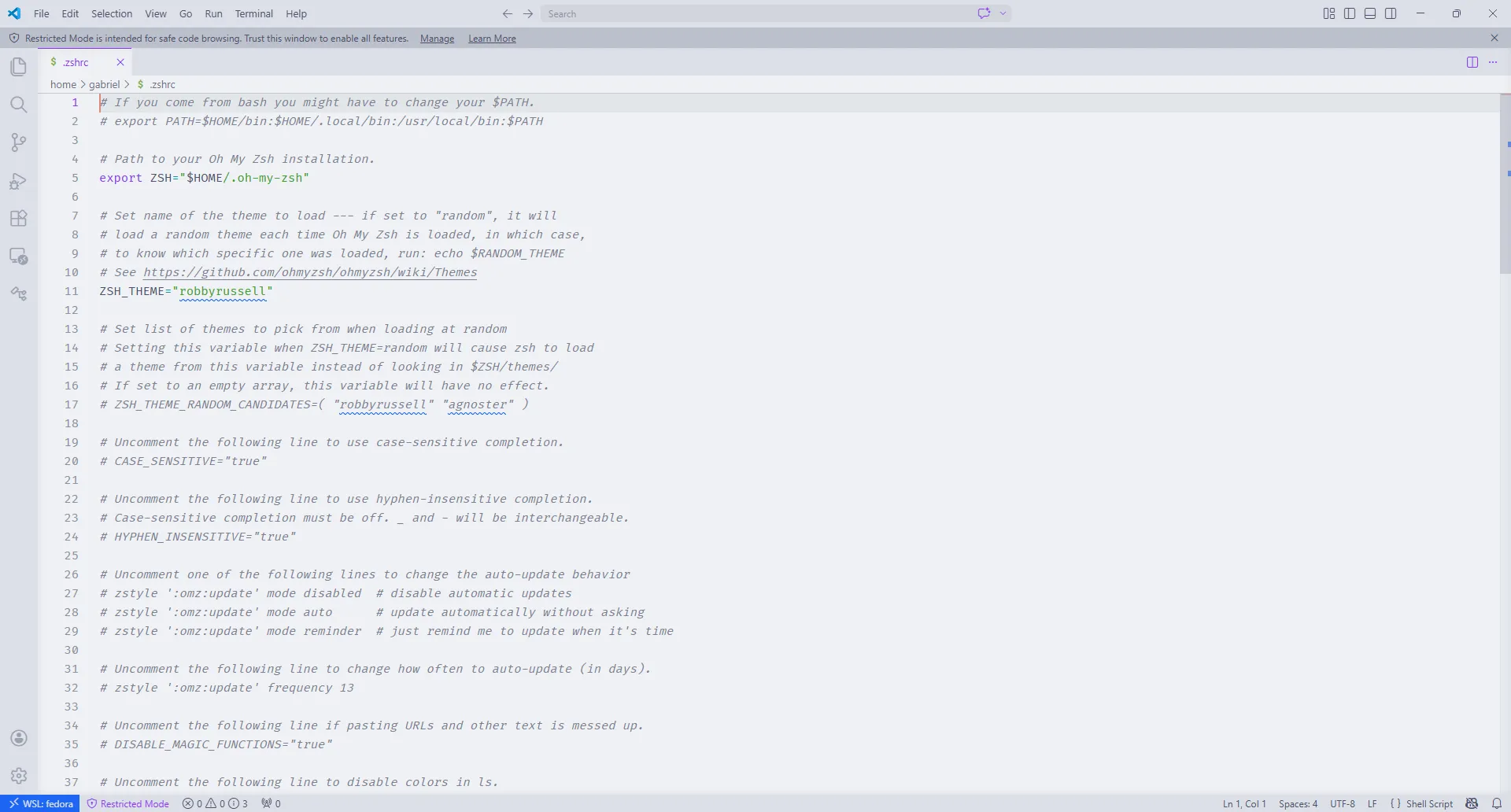 Arquivo de configuração do Zsh exibido no VSCode, com o aviso de arquivo modo restrito.